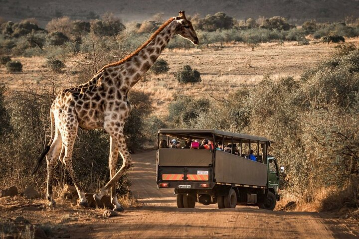 10-Day Private Tour Johannesburg to Cape Town - Photo 1 of 19